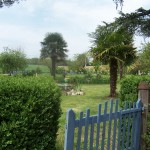 jardin jardin